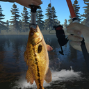 钓鱼模拟ios