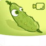 黄瓜视频app官方网在线观看app