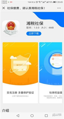 湘税社保苹果版软件app官方下载